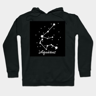 Aquarius Hoodie